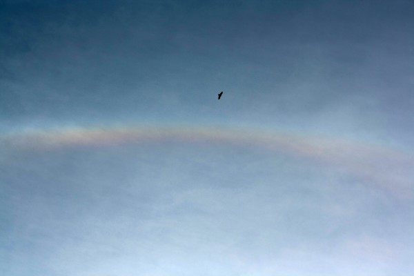 Arco di Alone Solare con Poiana, sui cirrostrati.