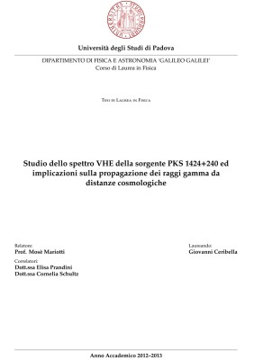 Tesi Triennale